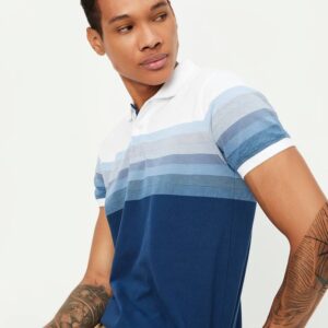 Men Striped Polo Neck Cotton Blend Blue T-Shirt